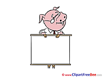 Pig Banner Pics download Illustration