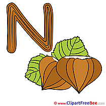 N Nut printable Illustrations Alphabet