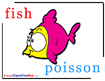 Fish Poisson Pics Alphabet Illustration