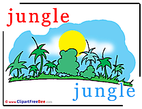 Jungle Pics Alphabet free Image