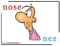 Nose Nez printable Illustrations Alphabet