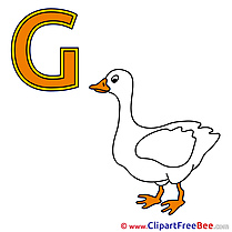 G Gans Alphabet free Images download