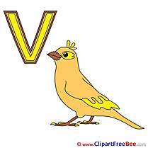 V Vogel Clipart Alphabet Illustrations