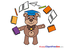 Bear free Illustration Graduation