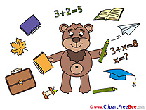 Bear School free Cliparts Graduation