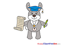 Bunny Diploma Clipart Graduation free Images