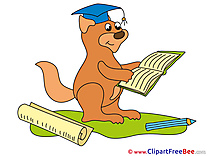 Squirrel Pics Graduation Illustration