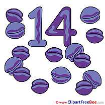 14 Plums printable Illustrations Numbers