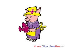 Piggy with Watering Can Pics Fairy Tale free Image