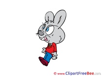 Rabbit Cliparts Fairy Tale for free
