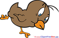 Beak Chick Bird free Cliparts for download