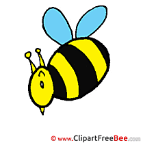 Bee Clipart free Illustrations