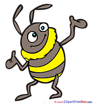 Bumblebee Clipart free Illustrations