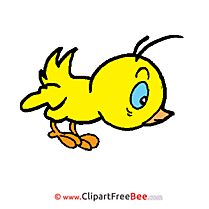 Chick Pics printable Cliparts