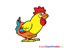 Cock Clipart free Illustrations