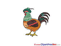 Cock printable Images for download