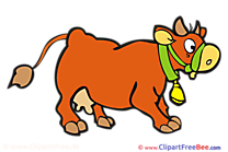 Cow download Clip Art for free