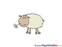Eating Sheep free Illustration download