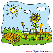 Fence Sunflowers Sun Images download free Cliparts