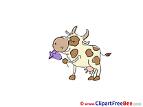 Flower Cow free Cliparts for download