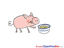 Food Pig Pics free Illustration