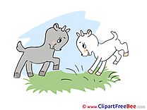 Goatlings Clipart free Illustrations