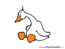 Goose Cliparts printable for free