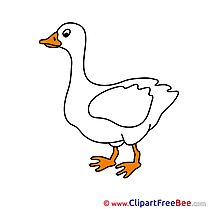 Goose Images download free Cliparts