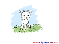 Grass Goatling download Clip Art for free