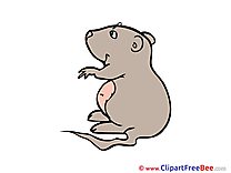 Hamster free printable Cliparts and Images
