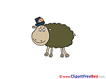 Hat Sheep Pics free download Image