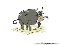 Hay Bull download Clip Art for free