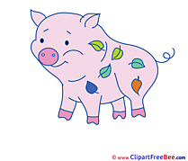 Leaves Pig Pics free download Image