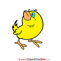 Little Chicken download printable Illustrations