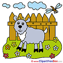 Meadow Flowers Goat Pics free Illustration