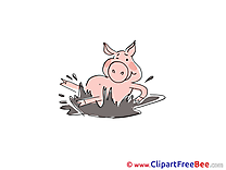 Mud Pig Clip Art download for free