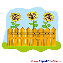 Palisade Sunflowers download Clip Art for free