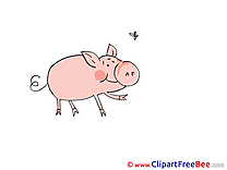 Pig Fly Clipart free Image download