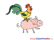 Piggy Chicken Clipart free Illustrations