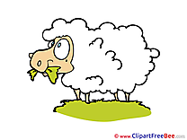 Sheep download printable Illustrations