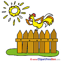Sun Fence Cock Clip Art download for free
