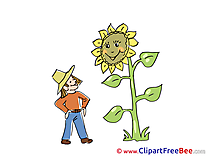 Sunflower printable Images for download