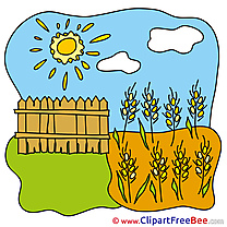 Wheat Sun Clouds Clipart free Illustrations