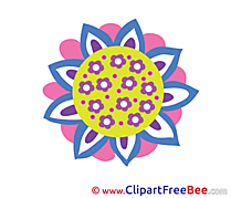 Beautiful Flower free Illustration Flowers