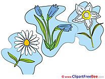 Beautiful free Illustration Flowers