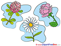 Beautiful printable Flowers Images