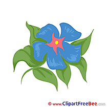 Blue Flowers Clipart Illustrations