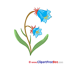 Blue Flowers free Illustration