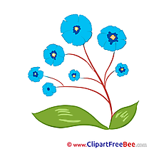 Blue Flowers Pics Illustration