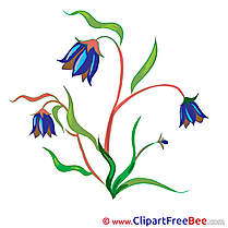 Bluebell Flowers Illustrations for free